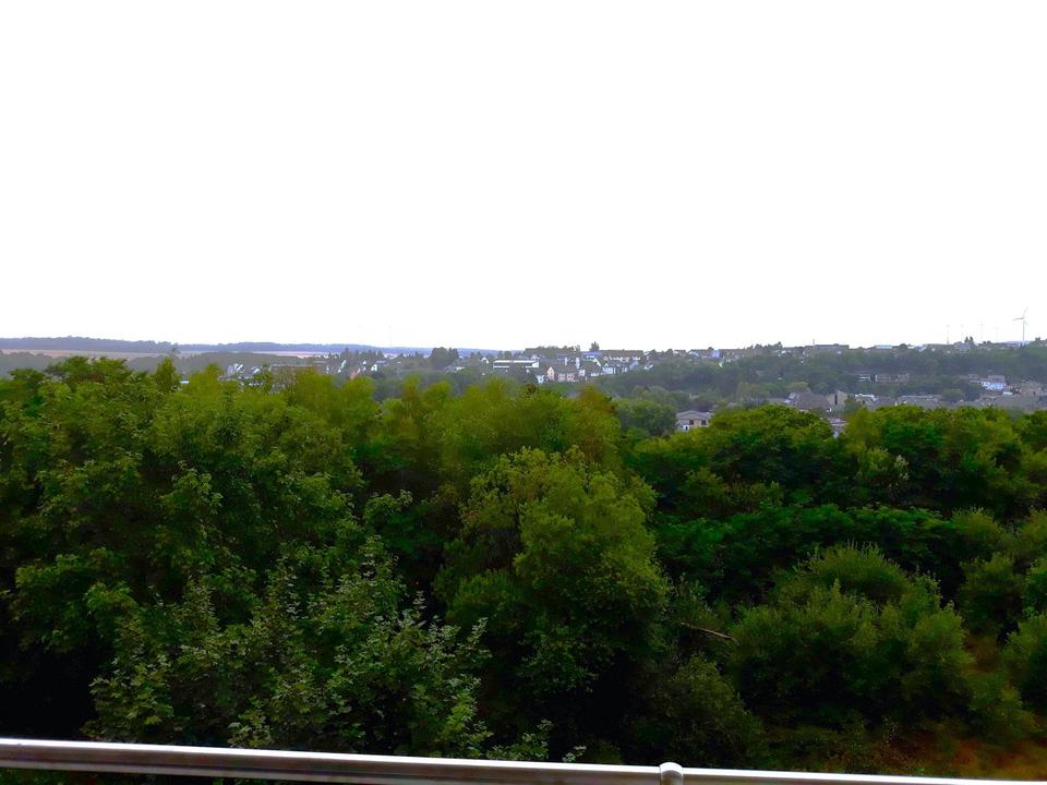 Thumbnail-Simmern 3 Zimmer-Wohnung