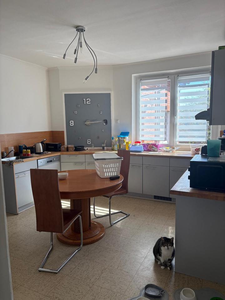 Thumbnail-3 Zimmer Erdgeschosswohnung ab 01.08.2026 in 23738 Lensahn