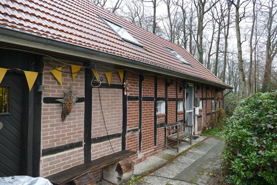 Thumbnail-Möbliertes Ferienhaus ca. 110 qm Wohnfläche in Haselünne-Lohe