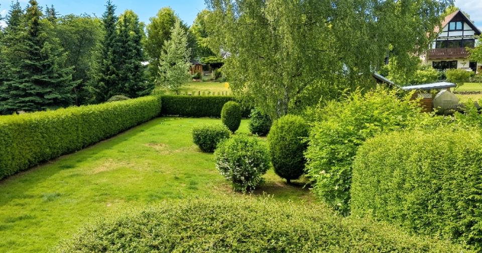 Thumbnail-3-Zi. DG-Whg. mit EBK, neuem Bad und Garten - stadtnah & ruhig