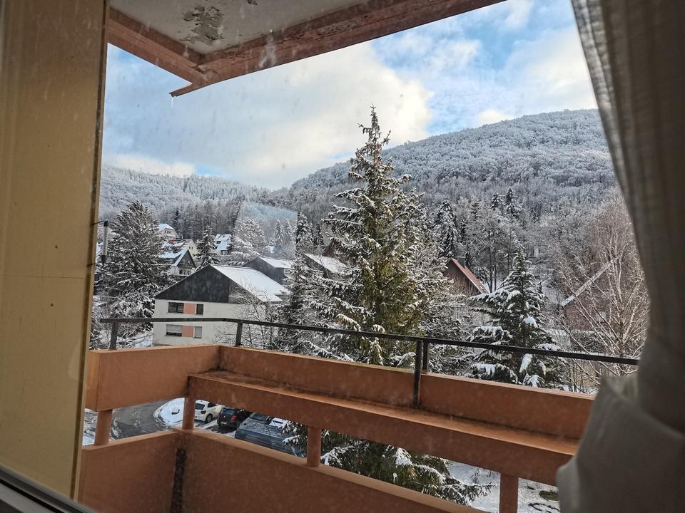 Thumbnail-2-Raum-Wohnung in Bad Harzburg zu vermieten mit Bergblick