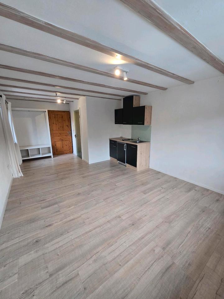 Thumbnail-1-Zimmer Apartment ab sofort