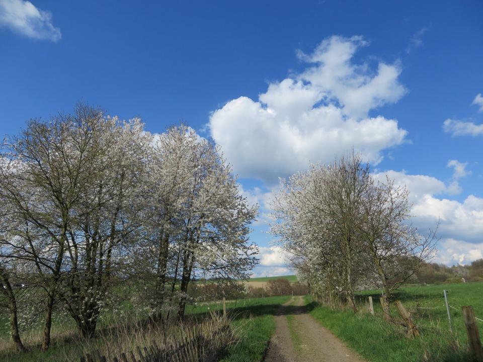 Thumbnail-Großes Haus mit Keller und Garten nähe Hennef Uckerath