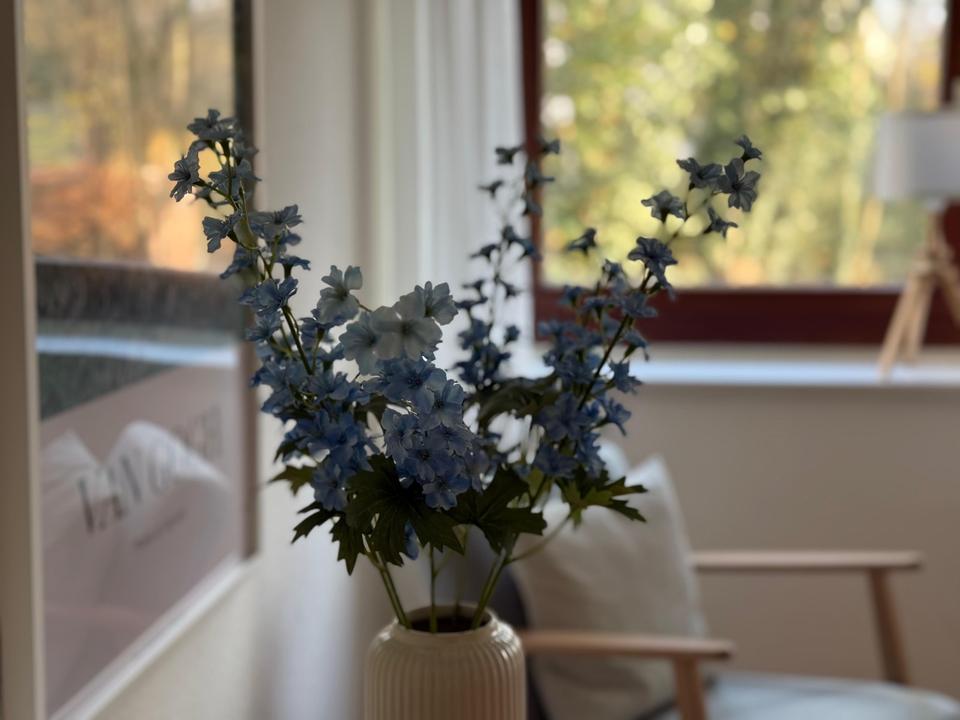 Thumbnail-Schöner Praxisraum nahe Alster zur alleinigen Nutzung zu vermiete