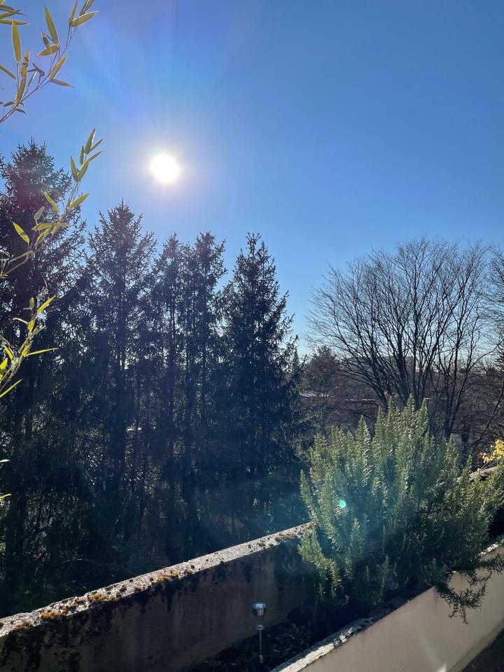 Thumbnail-Penthouse-Wohnung in München – sonnig, ruhig, Toplage - WG