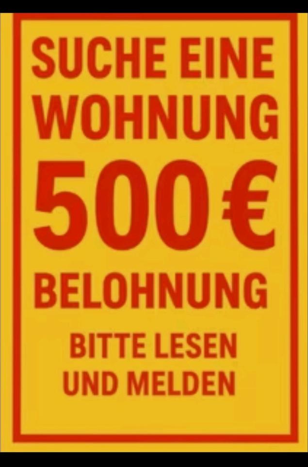 Thumbnail-Wohnung, 2 Zimmer Wohnung