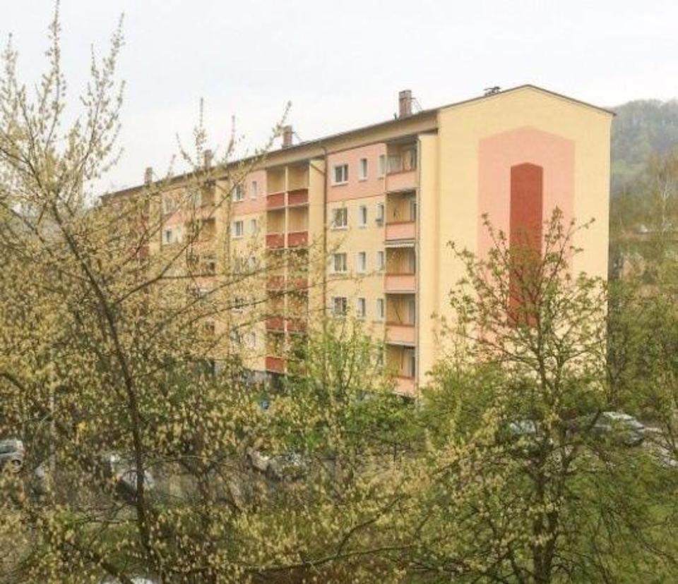 Thumbnail-1-Zimmer-Wohnung in Radebeul