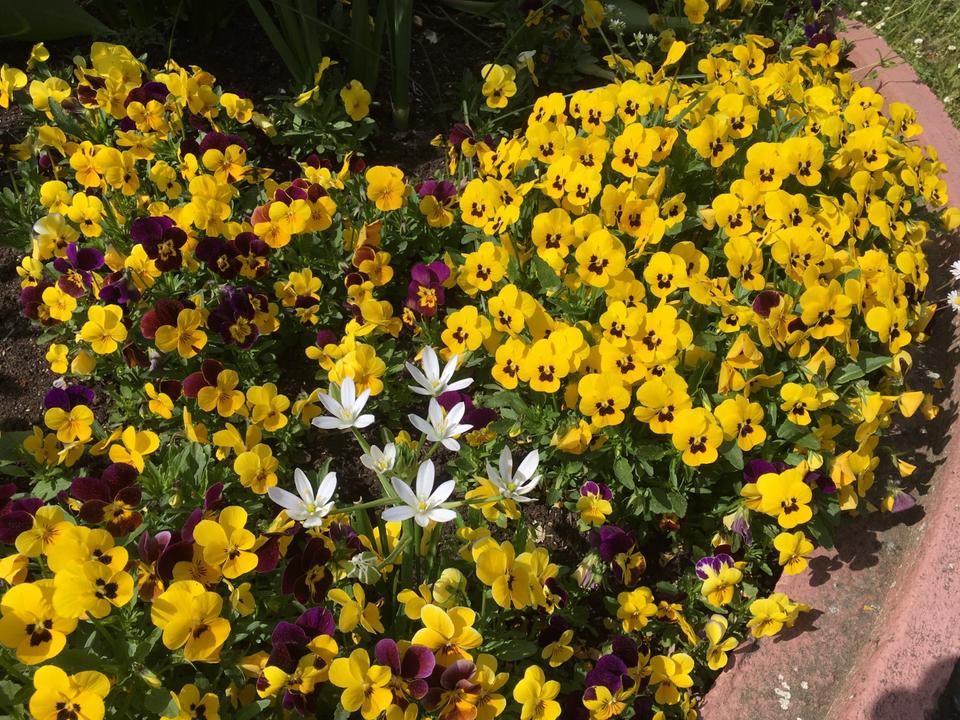 Thumbnail-Helle kleine 2-Zimmer-DG-Wohnung in Waldbronn