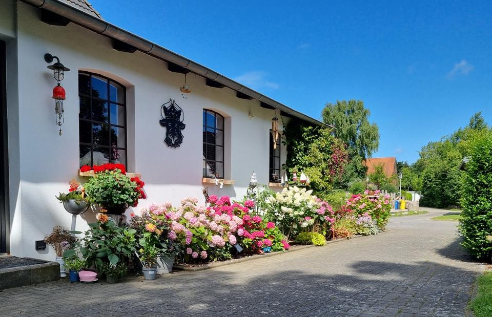 Thumbnail-Gemütliche Ferienwohnung Ostseenähe, 2 Personen