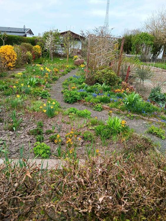 Thumbnail-180 qm Kleingarten abzugeben