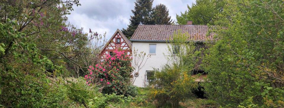 Thumbnail-Denkmalgeschütztes Bauernhaus mit großem Grundstück