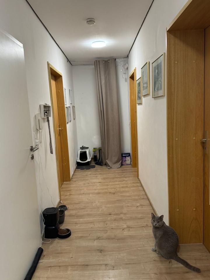 Thumbnail-Prinzregentenstraße 15 Wohnung Ludwigshafen