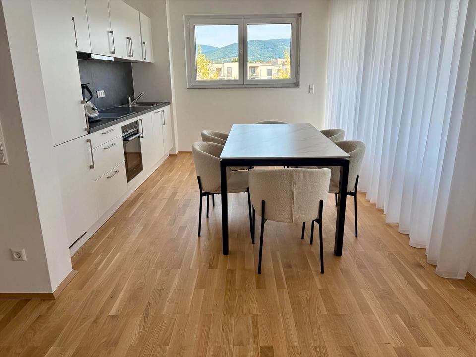 Thumbnail-Neubau 3-Zimmer-Wohnung zur Miete in Achern ab 01.10.2025