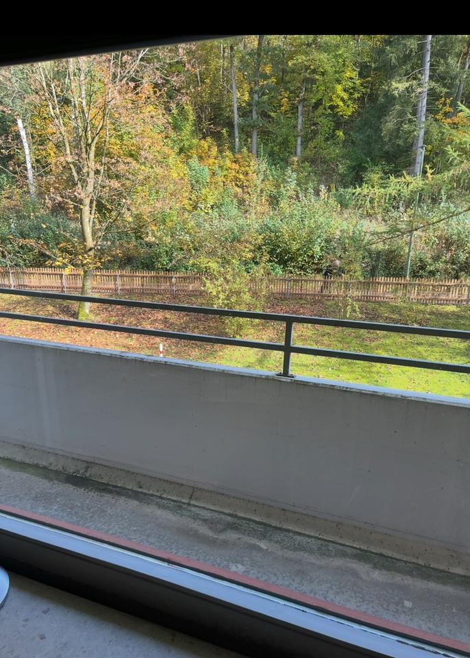 Thumbnail-1-Zimmer Wohnung mit Balkon