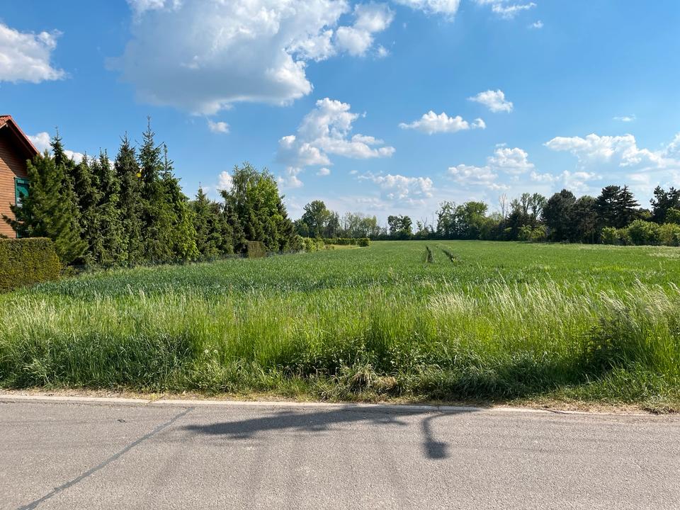Thumbnail-Bauland Baugrundstück 1125 qm Leipziger Land Markranstädt