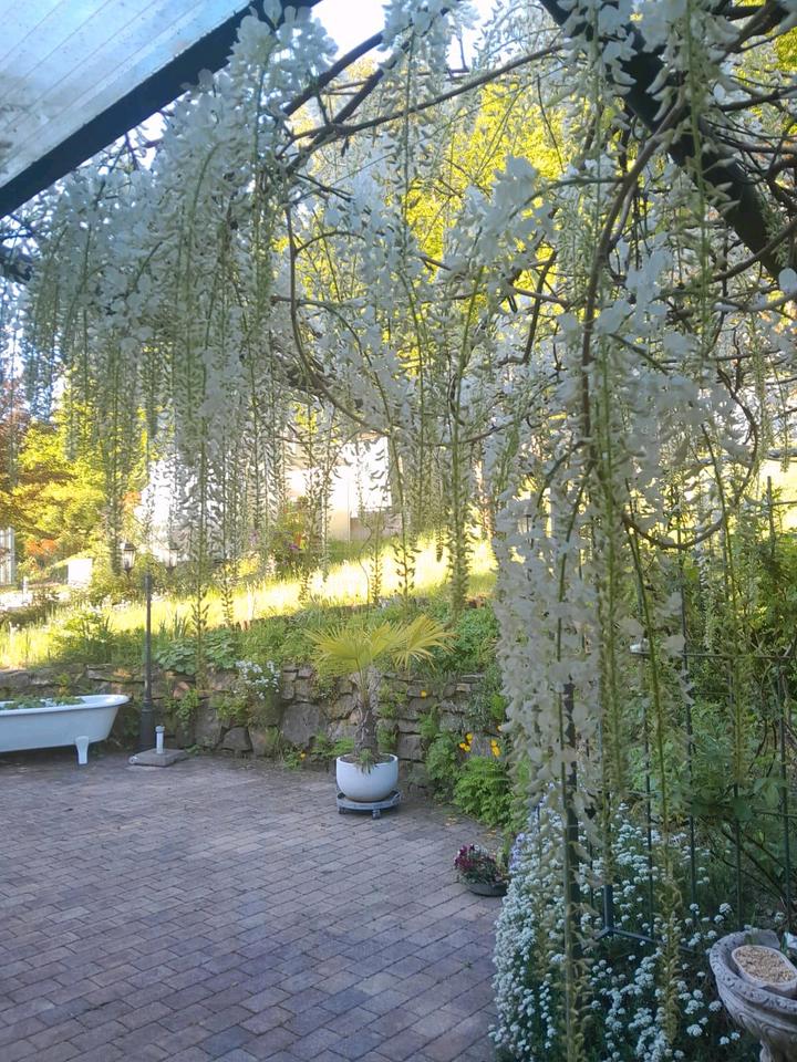 Thumbnail-Einfamilienhaus mit möglicher Einliegerwohnung