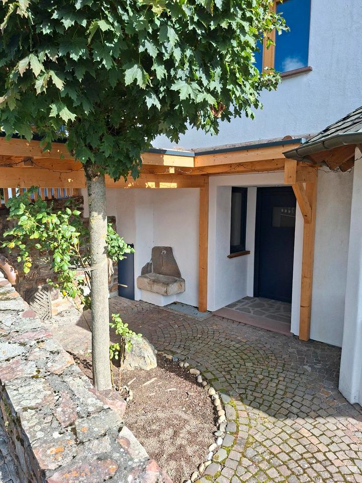 Thumbnail-2 Zimmer Wohnung Parterre in Hallgarten