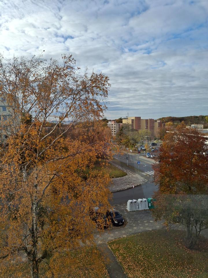 Thumbnail-3 ZKB Wohnung in der Teichbreite, stadtnah und doch im Grünen