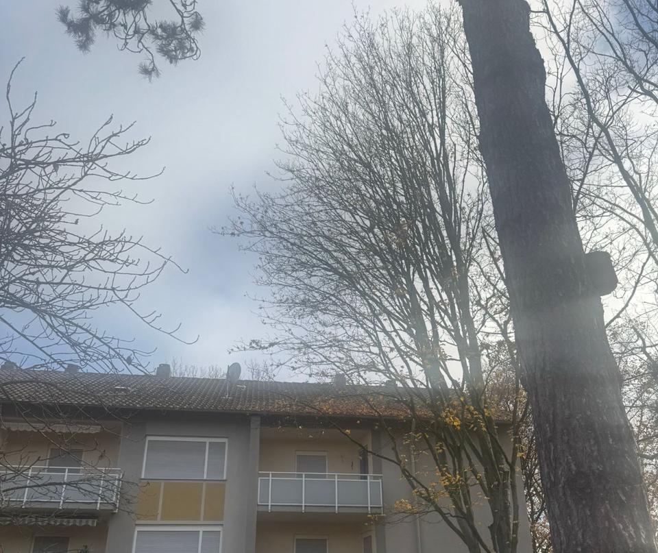 Thumbnail-Heller drei Zimmer Wohnung