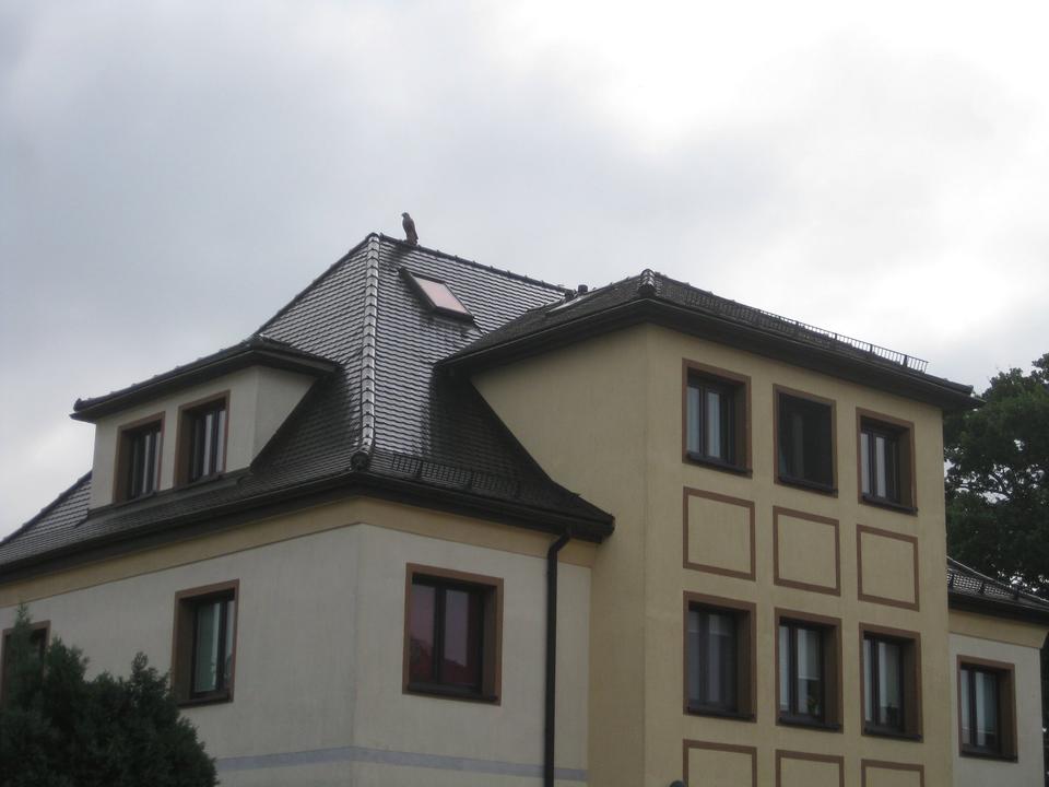 Thumbnail-Helle, ruhige Loft-Whg. im Dachgeschoß ca. 95m²