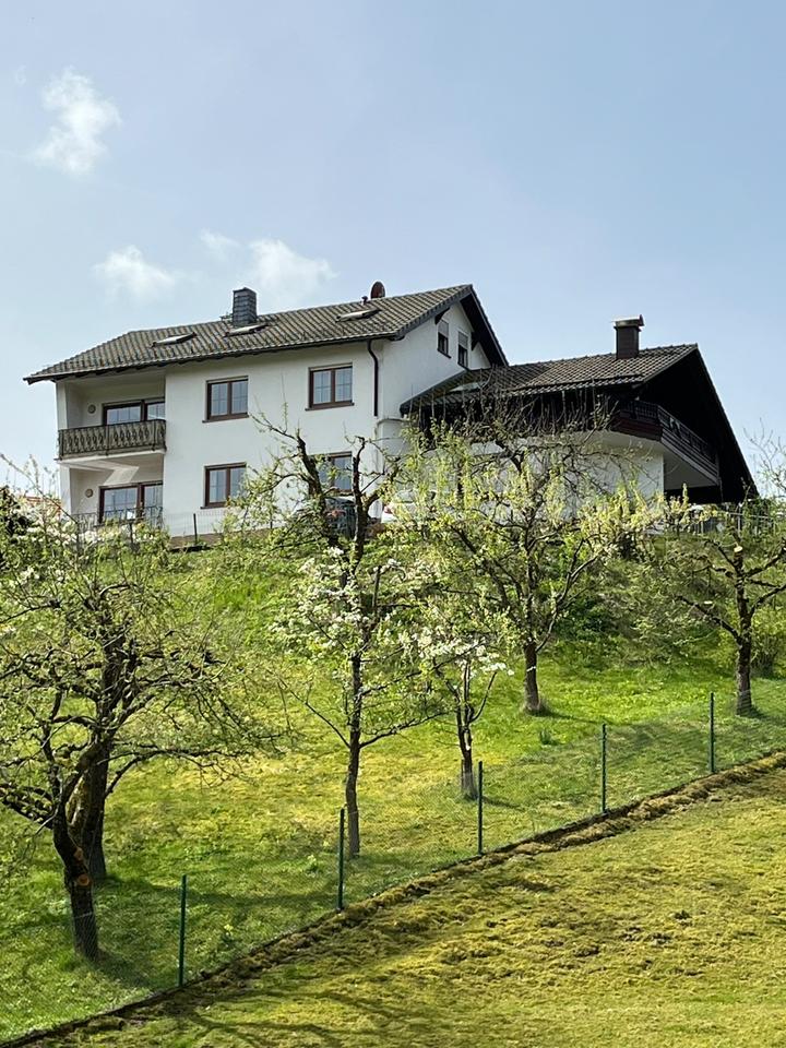 Thumbnail-Wohnen im Grünen: Charmante DG-Wohnung mit Traumblick