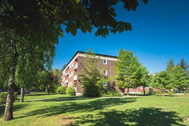 Thumbnail-Schöne und weitläufige 3-Zimmer-Wohnung frisch saniert