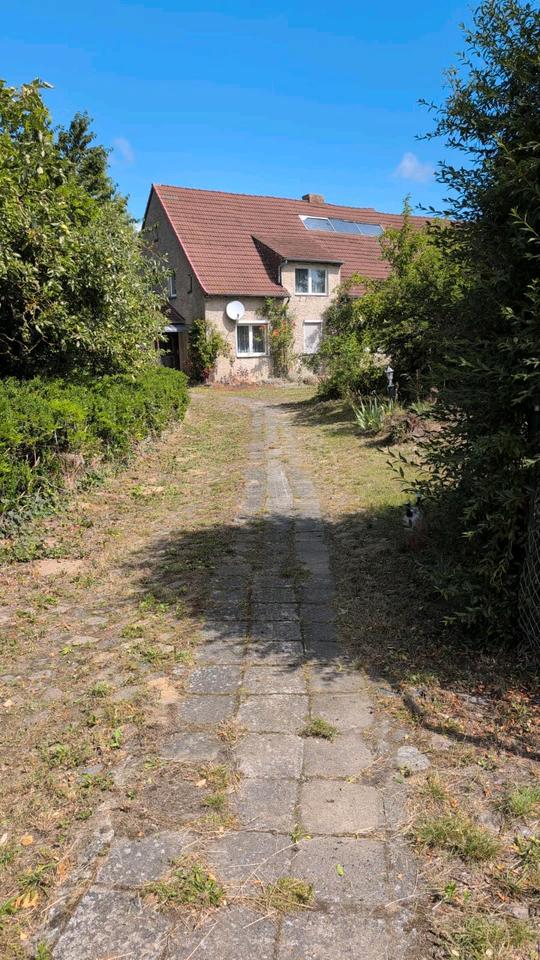 Thumbnail-Feldsteinhaus mit ELW. , Scheune mit Stallungen