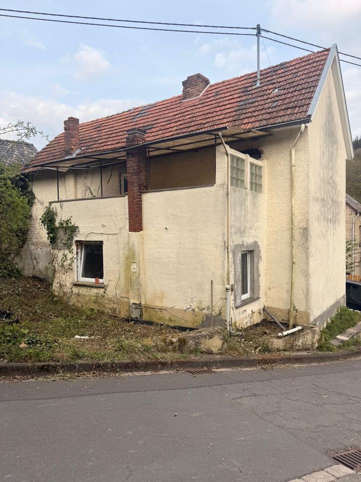 Thumbnail-Renovierungsbedürftiges Haus zu verkaufen