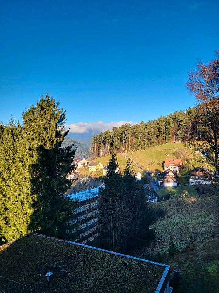 Thumbnail-möblierte gut gepfl. Wohnung + Garage + EBK + Balkon Baiersbronn