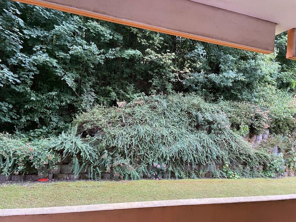 Thumbnail-1,5 Zimmer Wohnung Bayreuth Nahe Klinikum m.Loggia und EBK