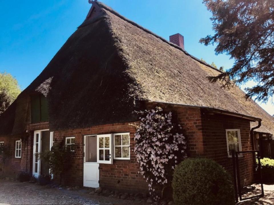 Thumbnail-Ferienhaus Ostsee Fehmarn 5 Pers, WLan, Hunde, Garten, Zaun