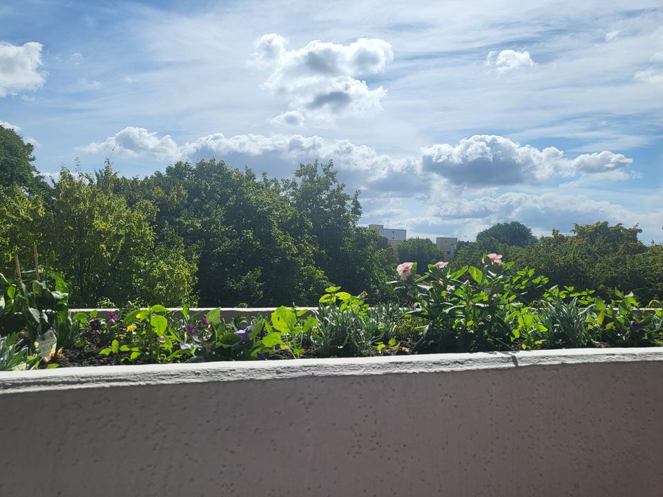 Thumbnail-Traumhafte Einzimmerwohnung mit Balkon!