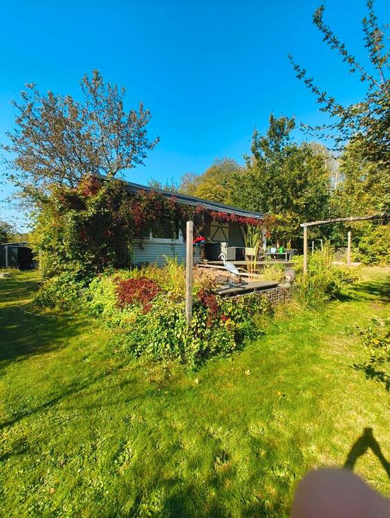 Thumbnail-Ihr privates Naturidyll in Waldalgesheim