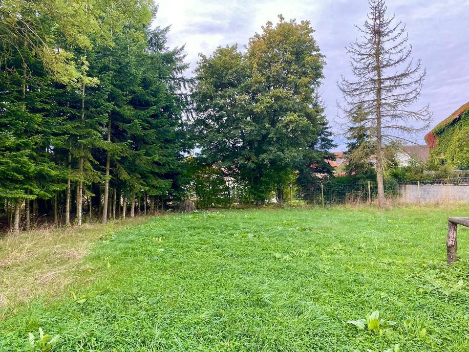 Thumbnail-Außergewöhnliches Bauernhaus in ruhiger Lage im Grünen