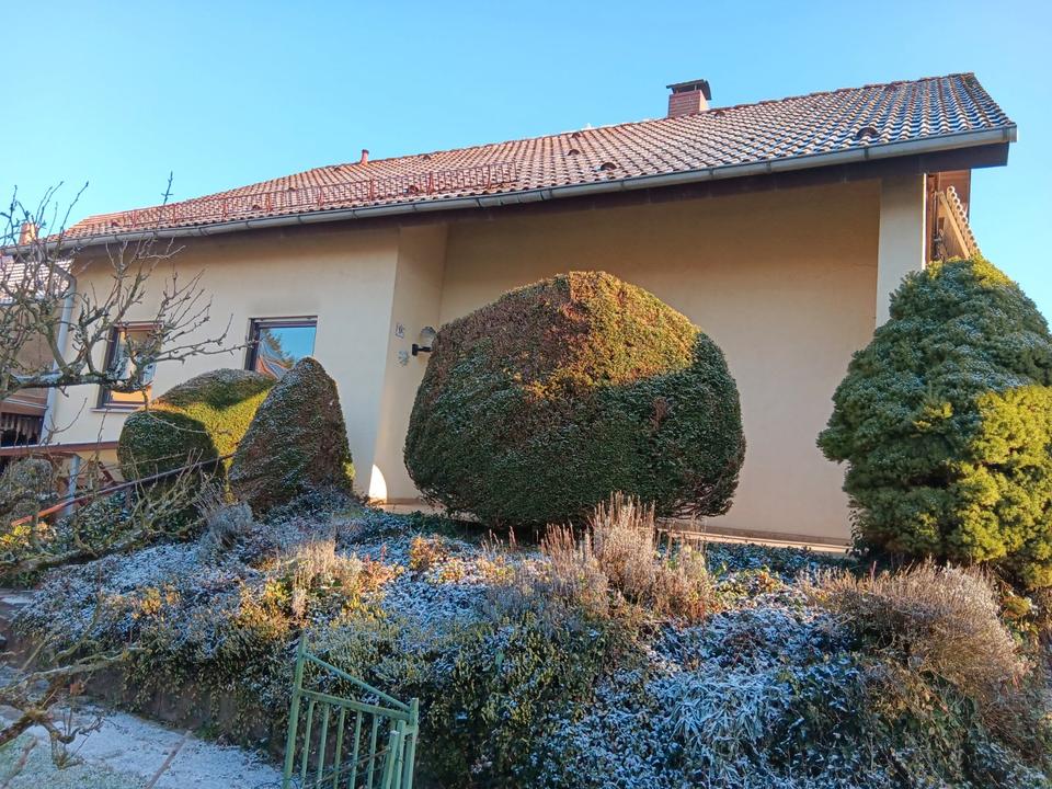 Thumbnail-Freistehendes EFH mit Nebengebäude und großem Garten