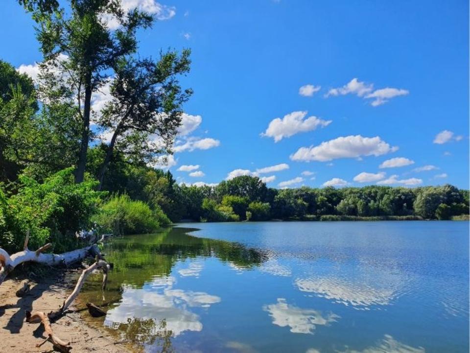 Thumbnail-Bright Furnished Studio in Quiet Green Area – Berlin