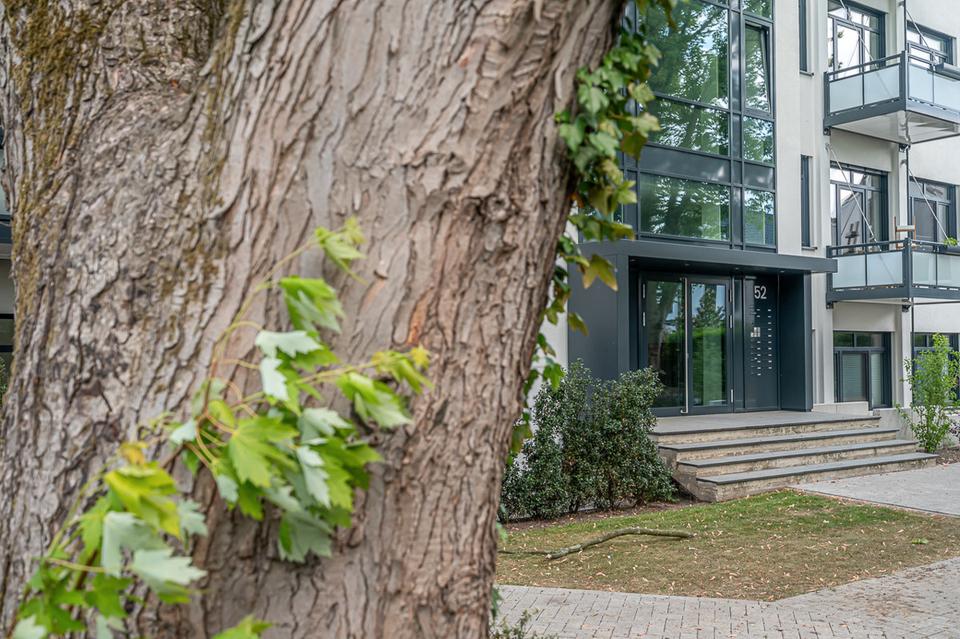 Thumbnail-Blick über die Dächer von Oldenburg! Neuwertige und exklusive 3 ZKB Wohnung mit Penthousecharakter