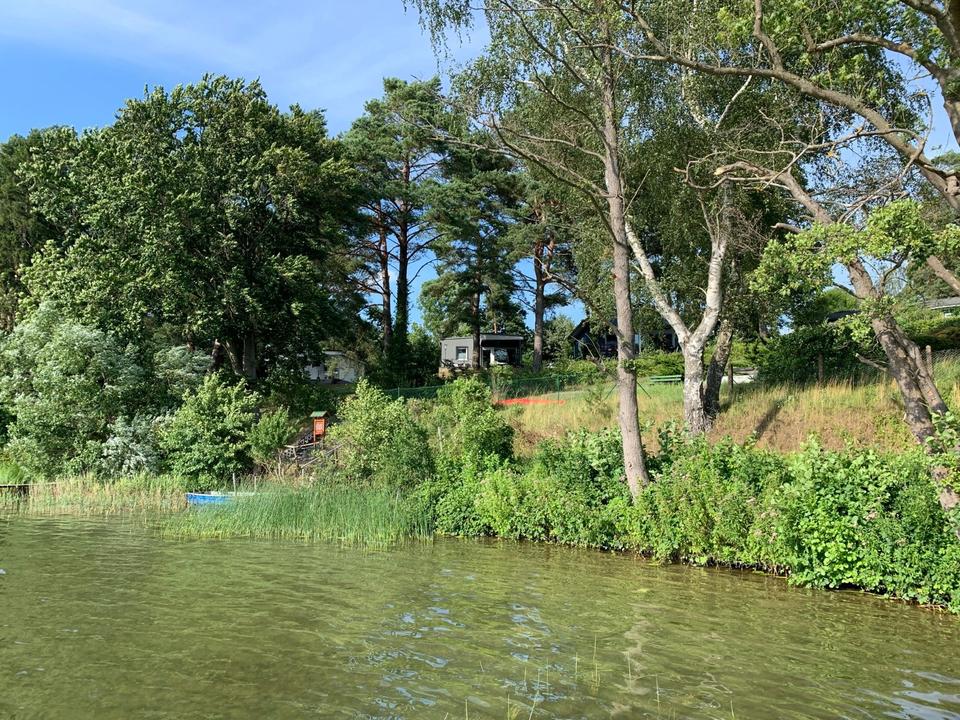 Thumbnail-Weihnacht 2025 in Deutschland im Ferienhaus am See in Brandenburg