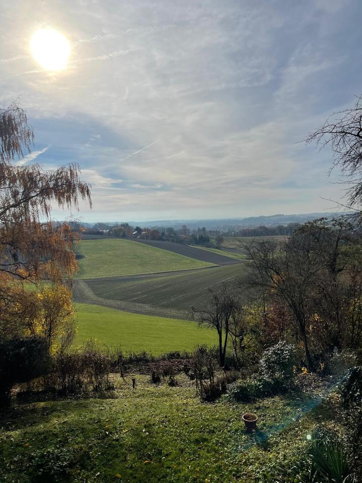 Thumbnail-2-Zimmer-Garten-Wohnung