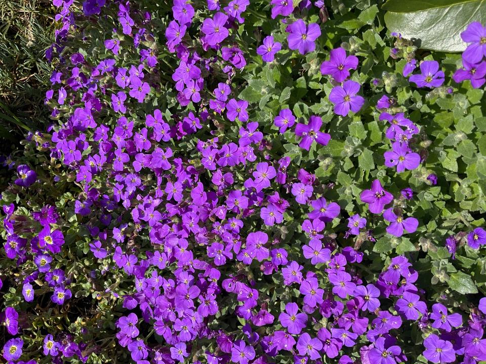 Thumbnail-DDH KreuzauOrtsteil, von 1950,