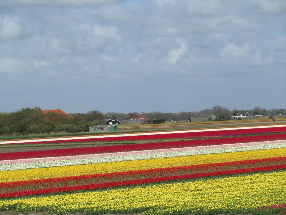 Thumbnail-Ferienhaus am Meer, Hund, Sauna,Kamin,Wlan
