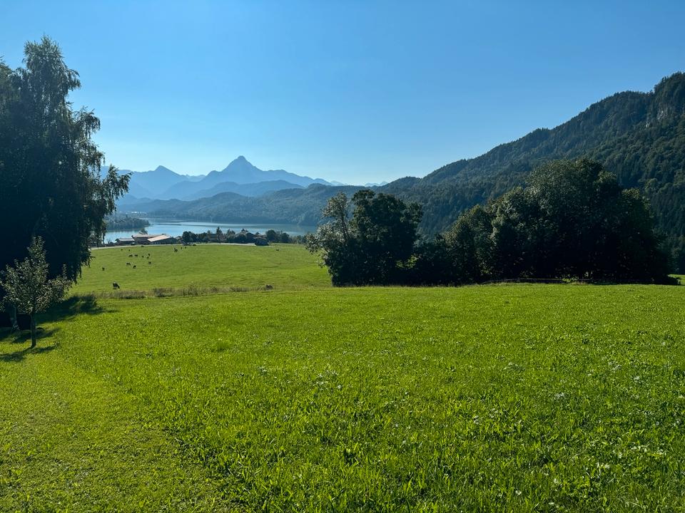 Thumbnail-Ferienwohnung Urlaub Füssen Allgäu Bayern Mai Juni September