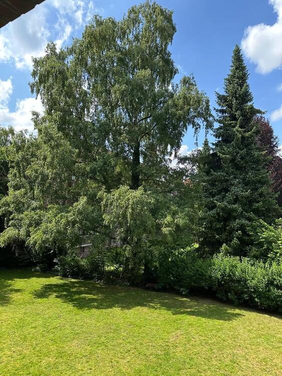 Thumbnail-Helle 2,5 Zimmer Wohnung in Stadtpark-Nähe