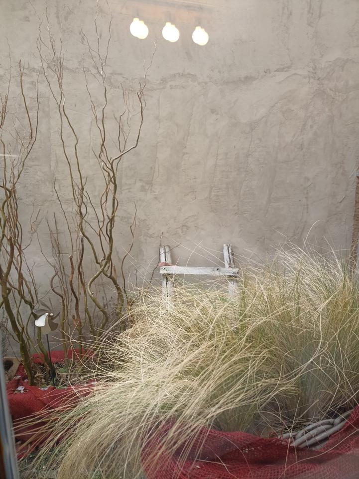 Thumbnail-Ferienhaus Ferienwohnung ab 2026