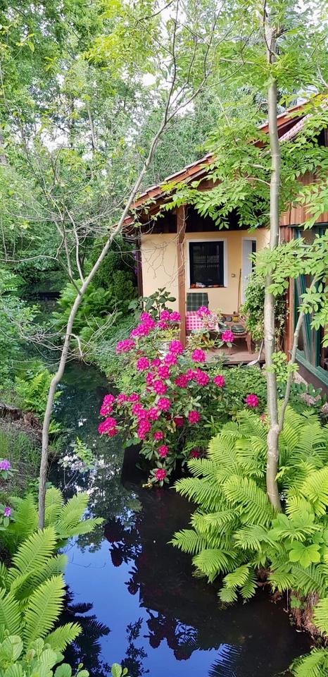 Thumbnail-Ferienhaus-Molle Burg im Spreewald, Natur pur !