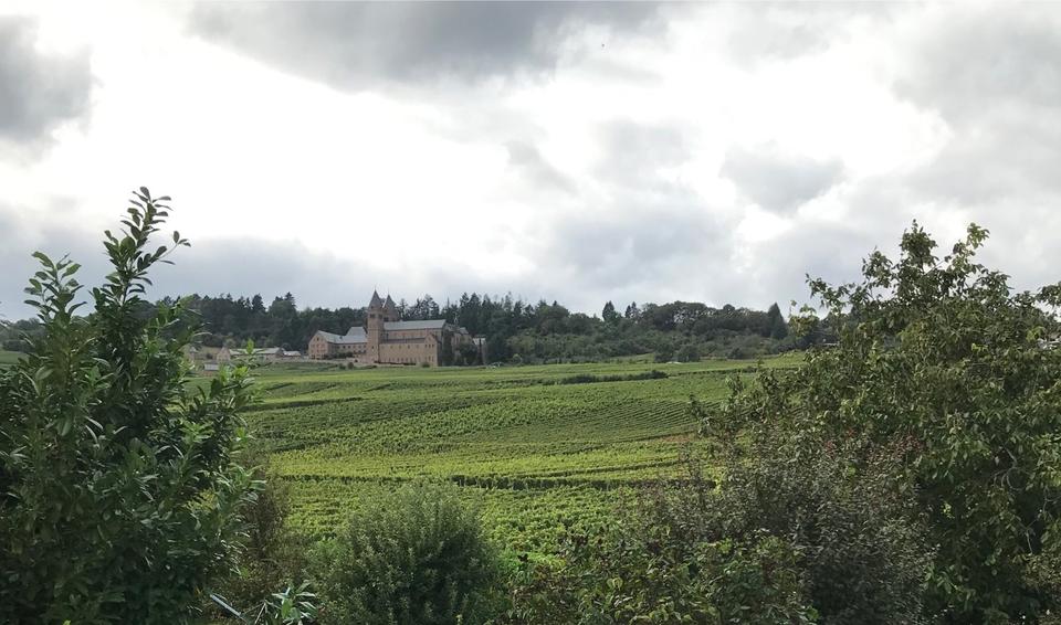 Thumbnail-2 Zimmerwohnung Rüdesheim