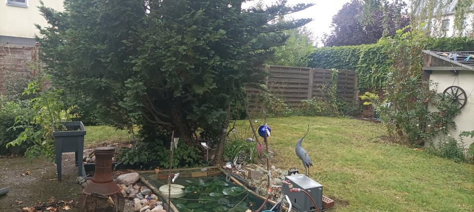 Thumbnail-älteres Haus wartet auf Ihre Ideen