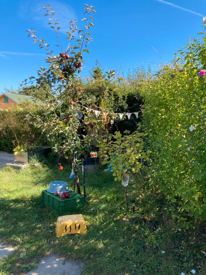 Thumbnail-Garten Pacht Markkleeberg Rilkestr