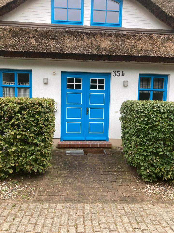 Thumbnail-Reethaus, Seeblick, Ostsee, Möchgut Gager