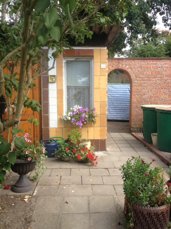 Thumbnail-Garten abzugeben